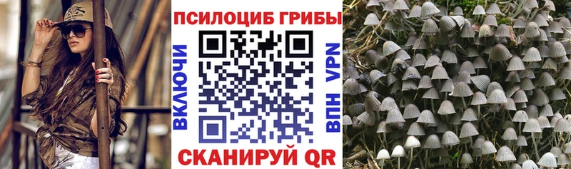 Галлюциногенные грибы MAGIC MUSHROOMS  Иноземцево 